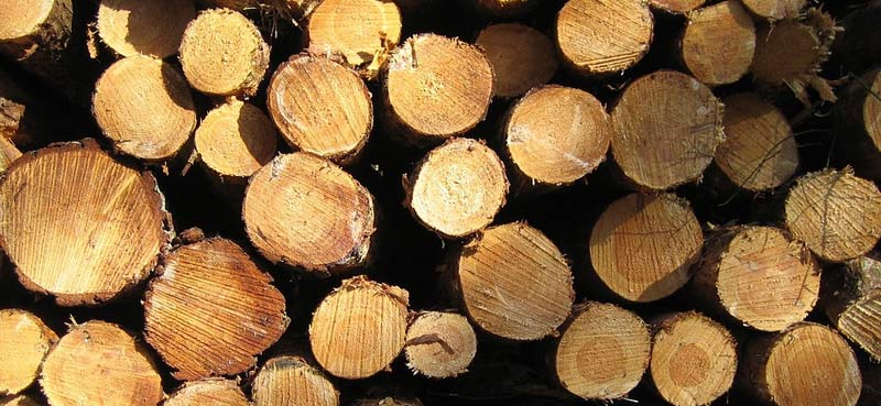 Leña CO2 neutral